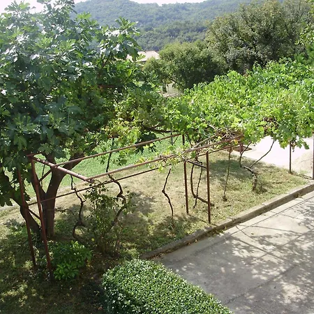 7468b Apartment